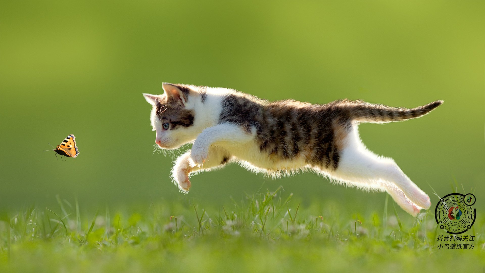 爱游戏官方网站-_冠军返场：传奇对决带来完美童话结局_，王者荣耀传奇对决