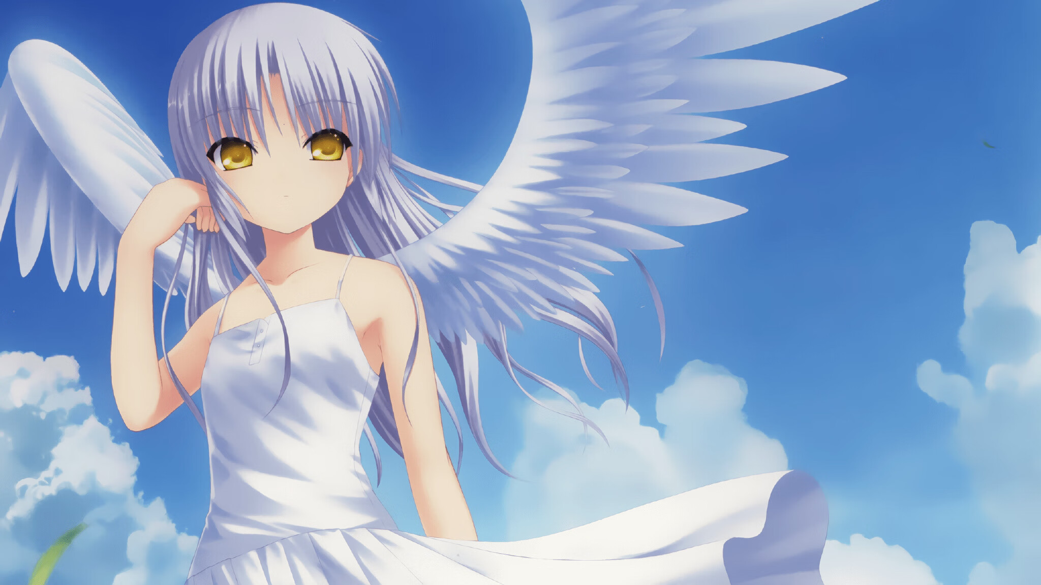 AYX GAME-_极光下的骑行之旅：追随色彩的速度美学_，看极光旅行