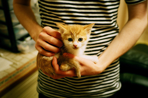 爱游戏体育-_火箭队积极调整，战绩逐渐回升_，火箭队情况