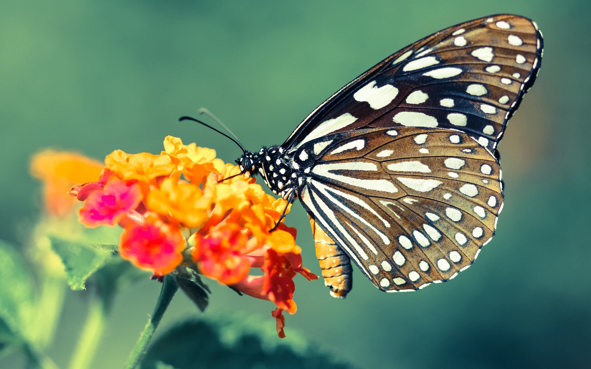 爱游戏官方网站-“德甲焦点:战局变化快,冠军悬念留存”,德甲冠军规则