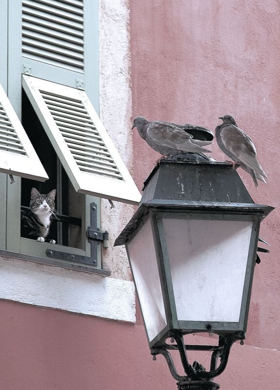 爱游戏电竞官网-中巡赛举办青少年高尔夫培训班,培养新一代球员,青少年高尔夫培训基地