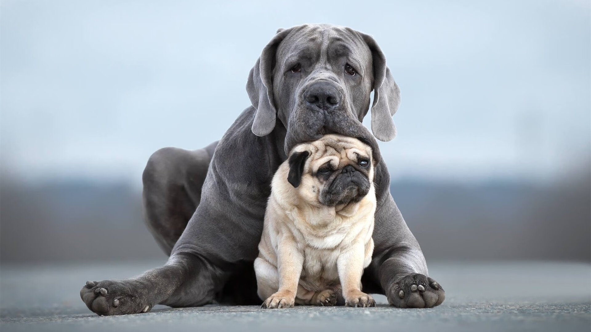 爱游戏-步行者球员自资创办青年训练营，支持家乡青训，步行者训练馆