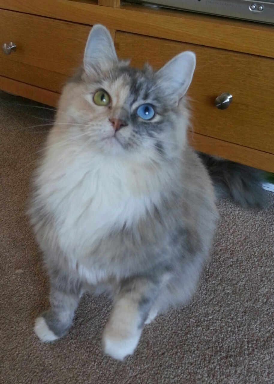 爱游戏app下载-球队应援视频:最感人和爆笑的瞬间大盘点,篮球个人应援口号