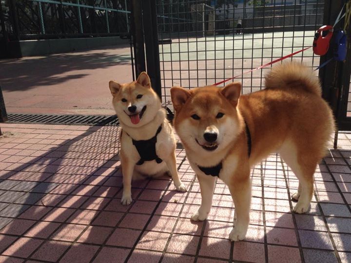 爱游戏中国官方网站平台-绝杀时刻！比赛最后一分钟精彩攻防引爆现场，最后一秒绝杀篮球