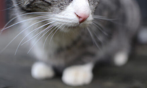 爱游戏娱乐平台-中国足球场地建设迎来新标准，中国足球场长宽