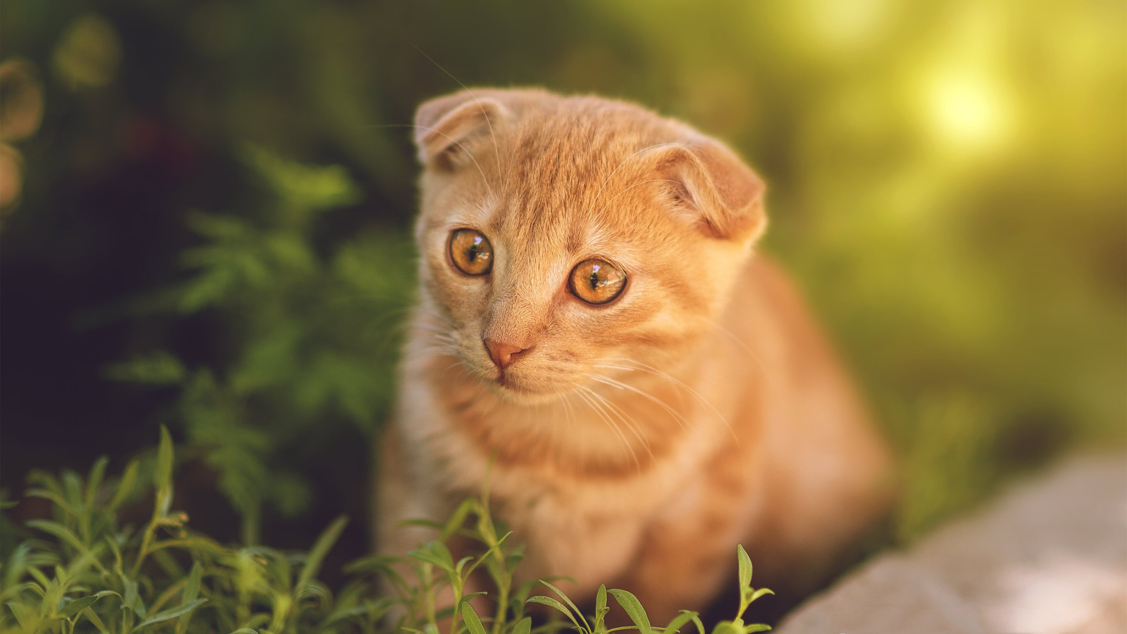 AYX GAME-堡垒之夜新增武器引热议，堡垒之夜最新武器大全图鉴