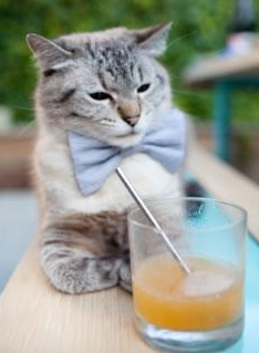 爱游戏下载-RNG粉丝支持力度加大,rng官方粉丝群