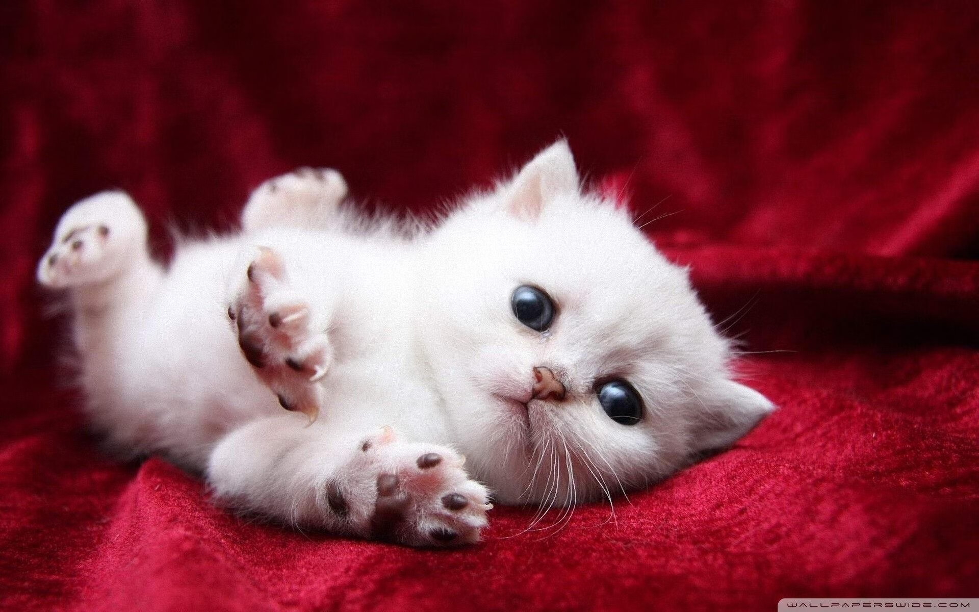 爱游戏下载-欧洲联赛再掀激情角逐，球员拼尽全力，欧洲联赛赛程2020赛程表