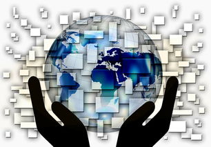 爱游戏中国官方登录入口网站-全国电子竞技公开赛上海收官，全国电子竞技大赛官网2020