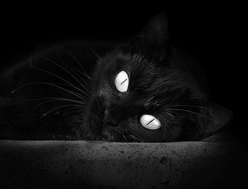 爱游戏下载-广厦控股后防线防守稳固，广厦控股阵容