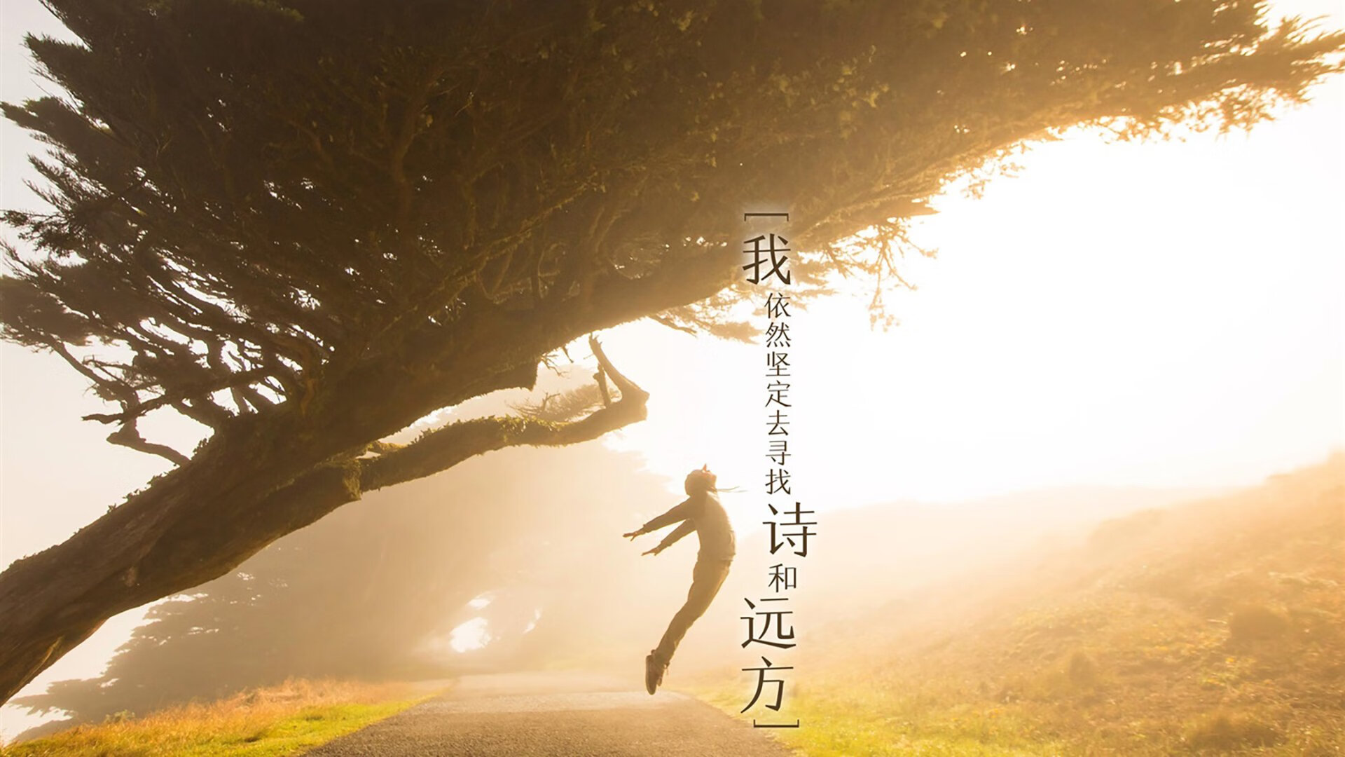 爱游戏综合娱乐-德国队在2024年混合团体世界杯的技战术亮点，德国队连续四届世界杯打进四强