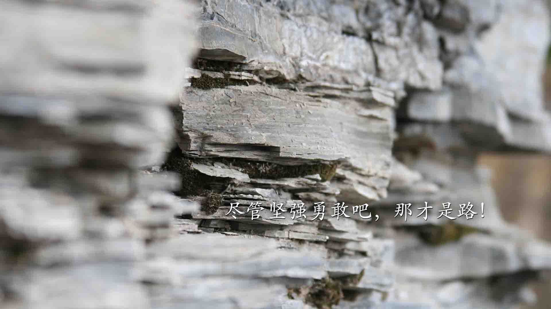 爱游戏体育APP下载-中超球队主客场表现对照，中超主场排名