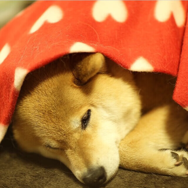 爱游戏娱乐-高压节奏比赛对心理素质的考验是否更高