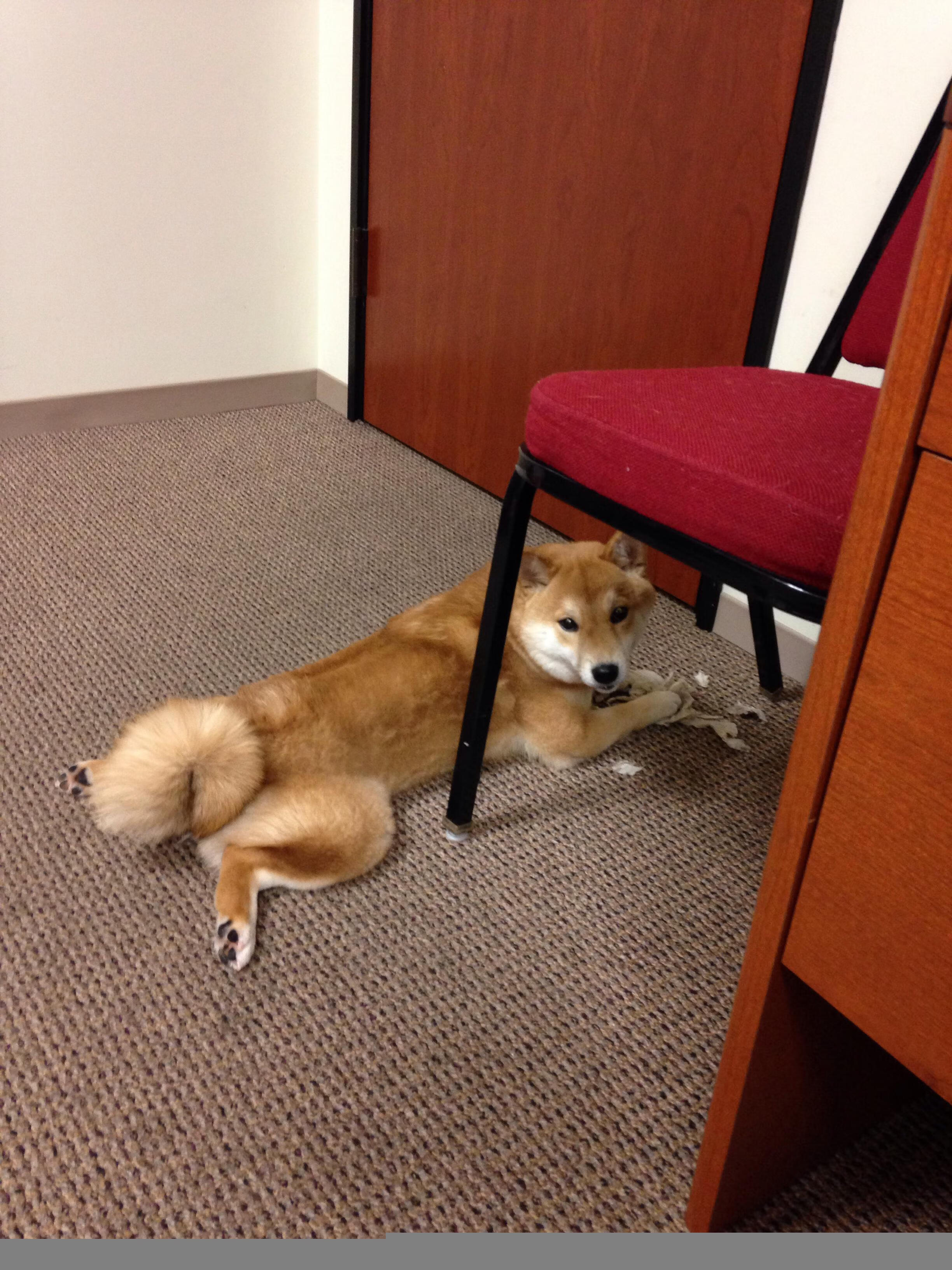 爱游戏体育官方网站-国家级体育赛事媒体合作机制优化路径，体育赛事运营模式