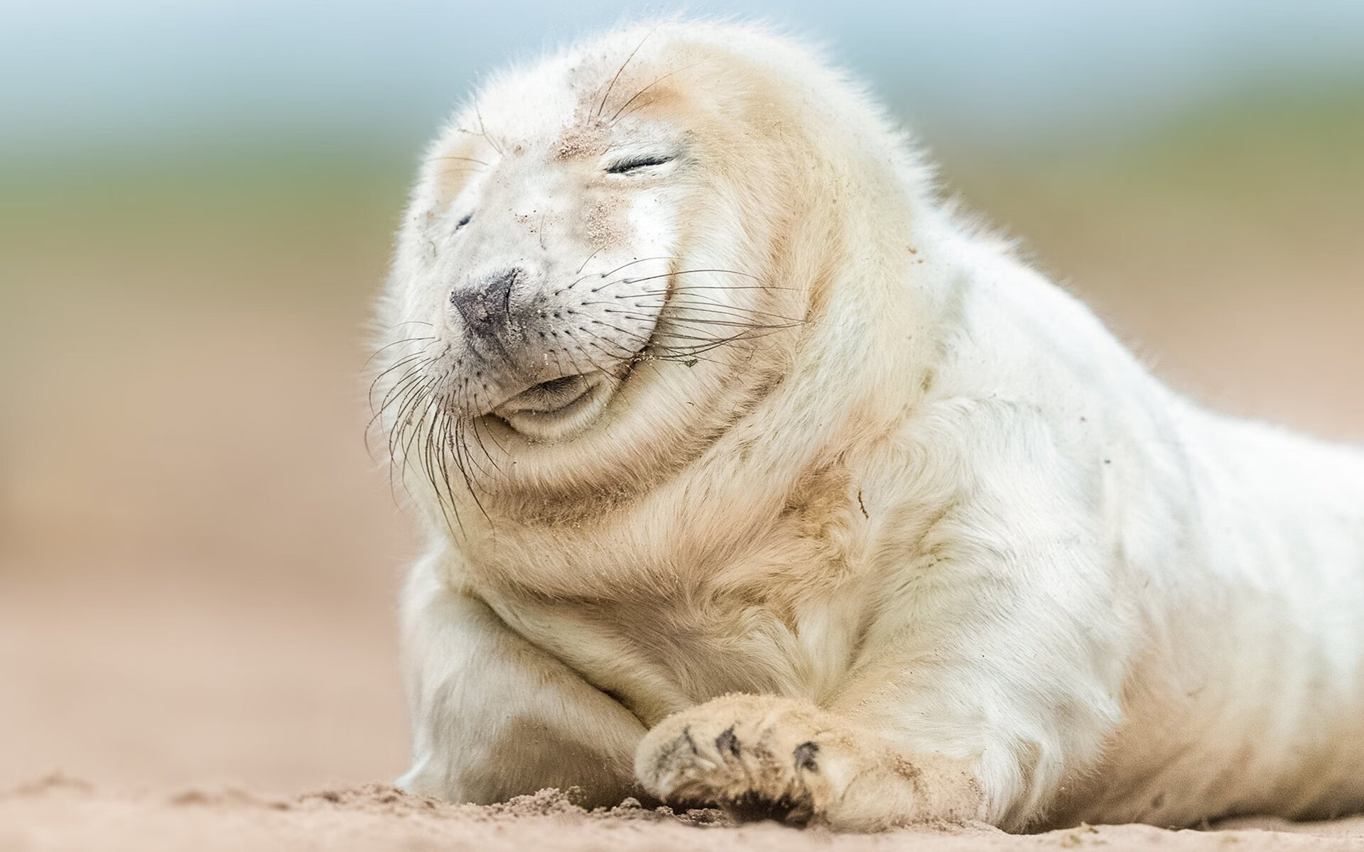 爱游戏娱乐网址-波尔曼展现的突破能力和传球技巧让袋鼠队进攻更加多样化,波尔曼斯