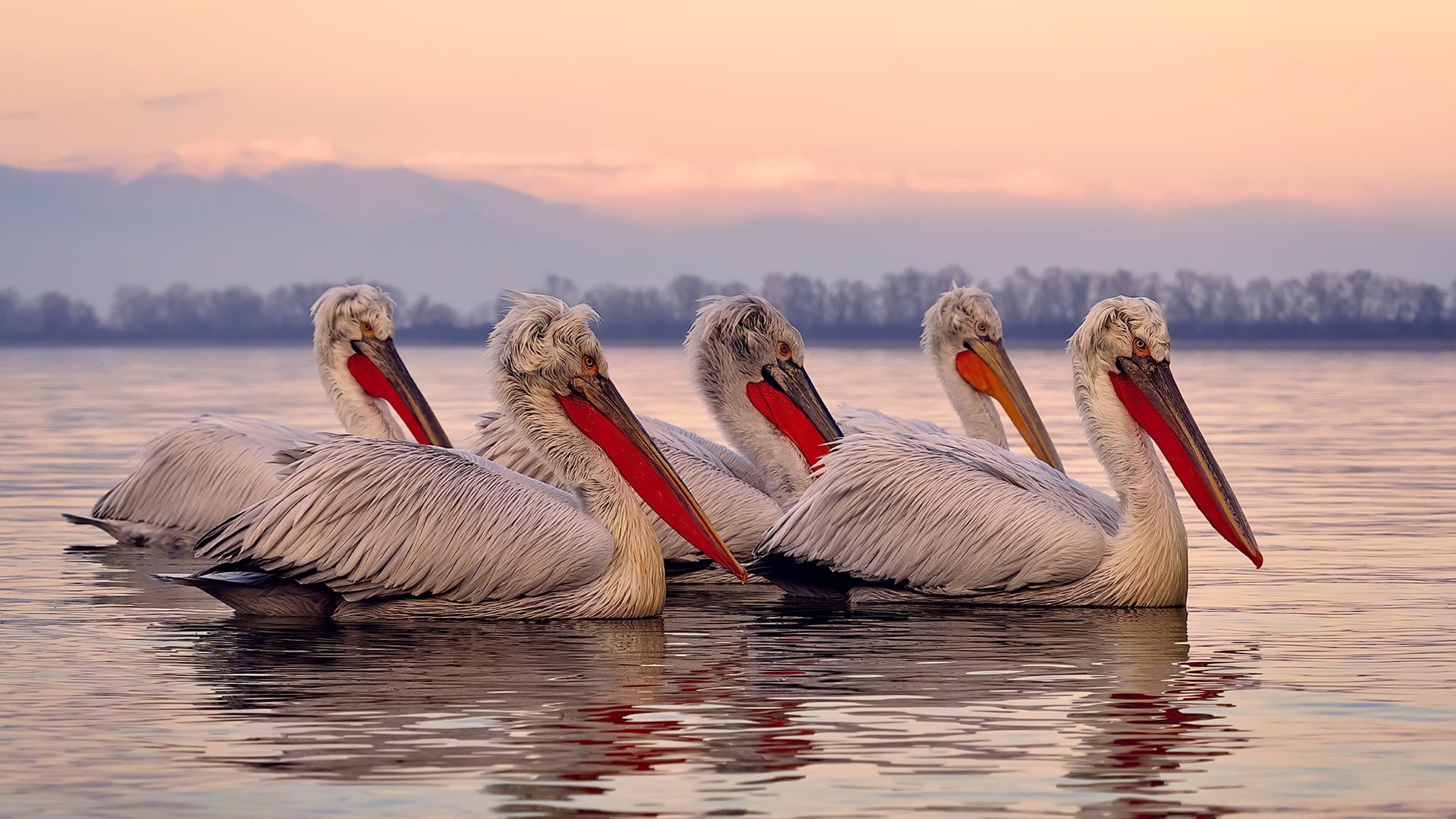 爱游戏中国官方登录入口网站-爵士反击速度提升打造攻守平衡新体系，爵士乐反拍是什么意思