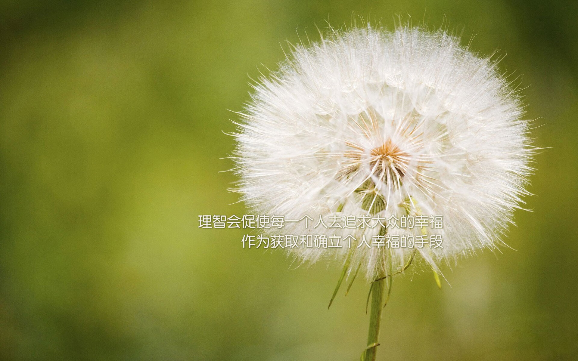 爱游戏体育官方网站-苏格兰橄榄球:人才储备与青训成关键看点,苏格兰球是什么运动