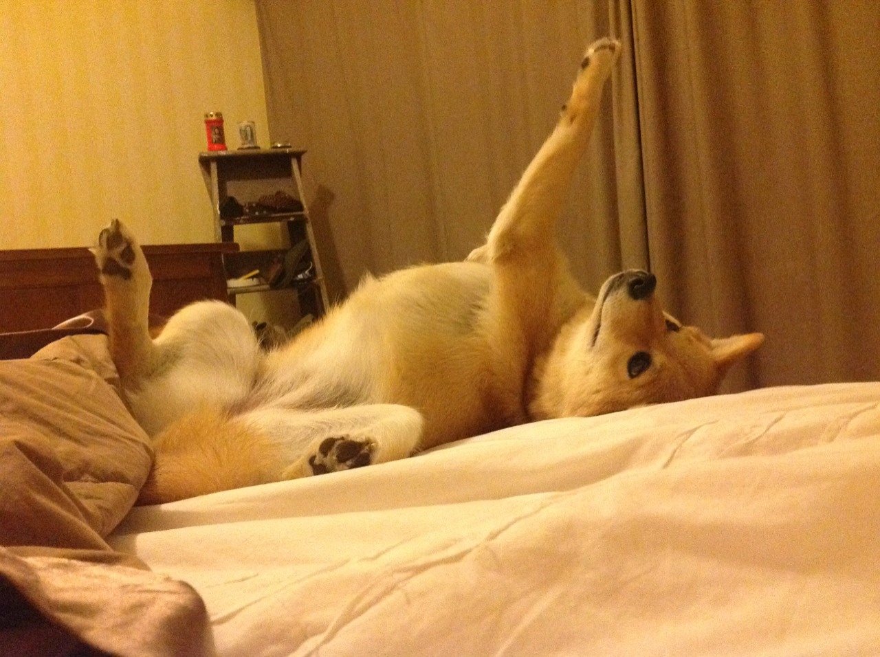 AYX GAMING-西甲绝美进球：足球的艺术美学展现，足球明星西甲