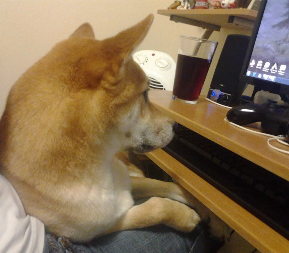 爱游戏 电竞-体育纪录片栏目覆盖多语种推进国际传播,经典体育纪录片