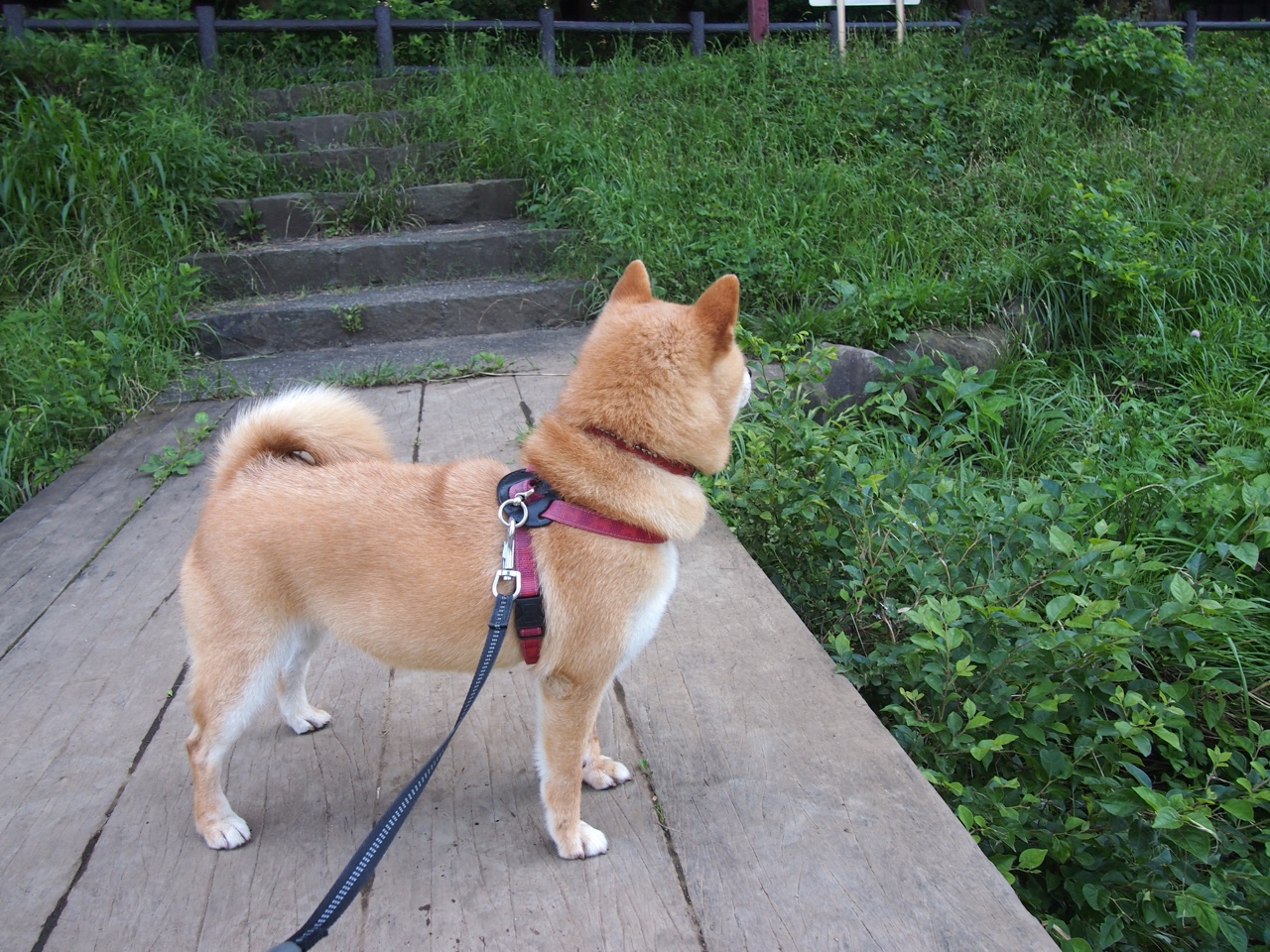 爱游戏官方网站-加拿大乒乓队的未来:如何提升教练团队与球员的互动与协作,现任加拿大乒乓球教练