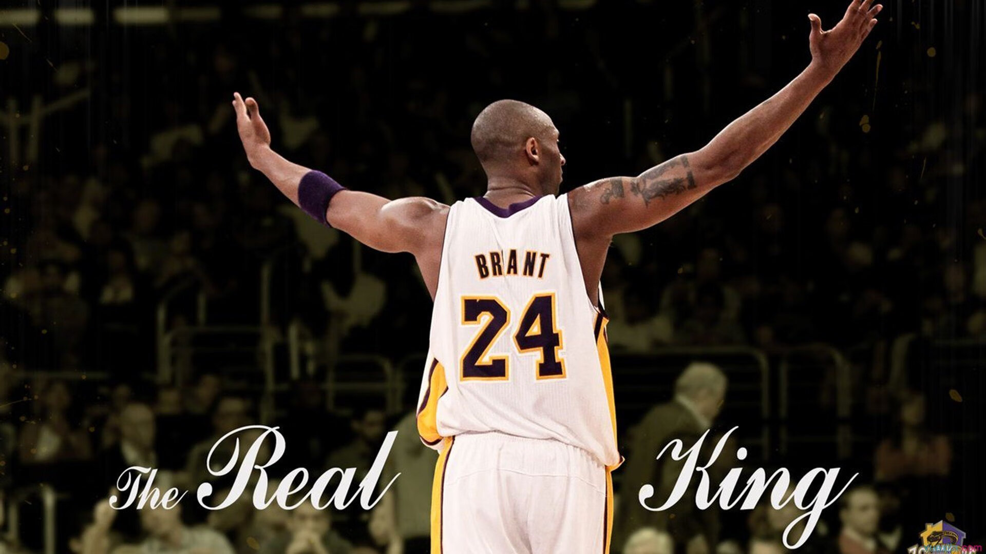 AYX体育-加拿大队如何通过战术调整在国际乒联混合团体世界杯中取得佳绩